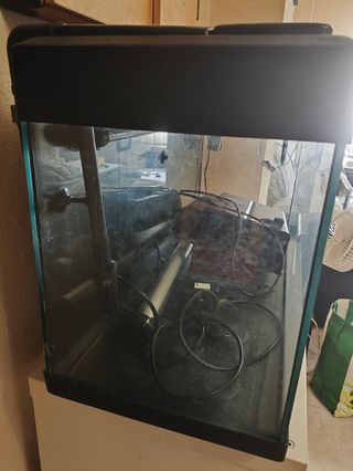 Acuario 