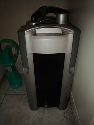 Acuario 