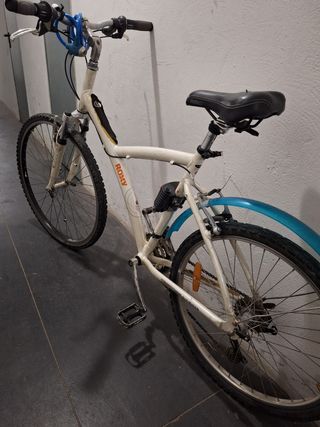Bicicleta Rosy montaña