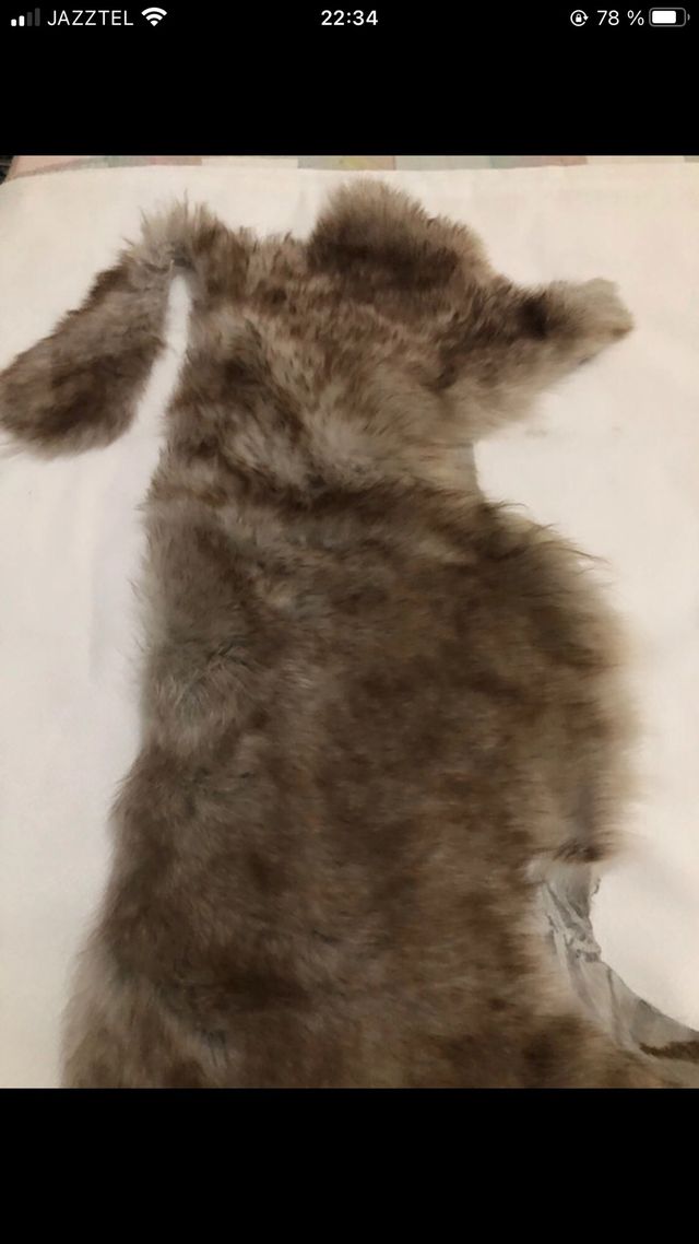 Retal piel natural marrón