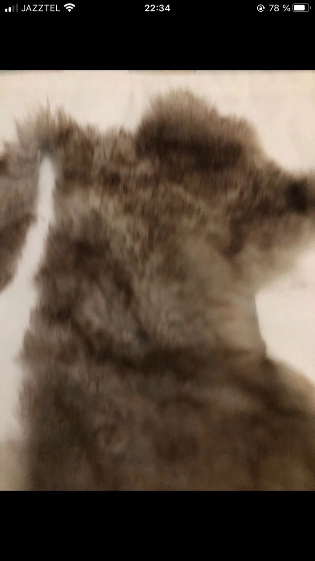 Retal piel natural marrón