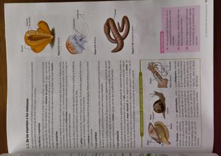 Biología y Geología 1º Bachillerato