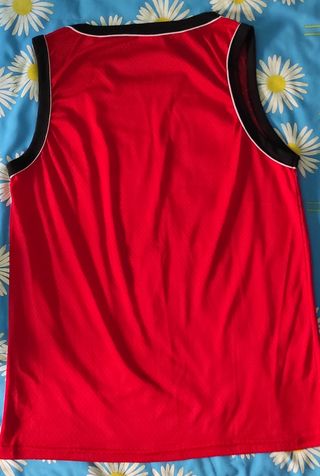 Camiseta Chicago Bulls #24