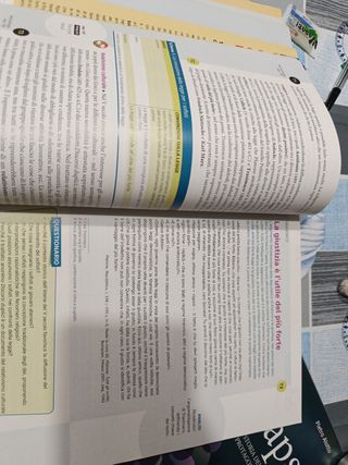 Sinapsi 1. Con Laboratorio di argomentazione.