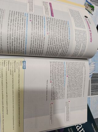 Sinapsi 1. Con Laboratorio di argomentazione.