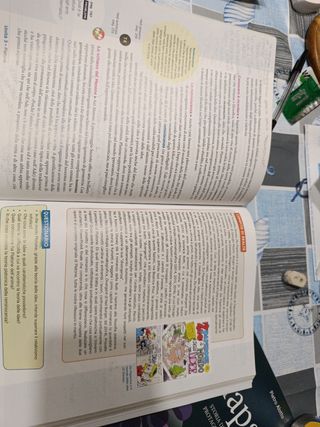 Sinapsi 1. Con Laboratorio di argomentazione.