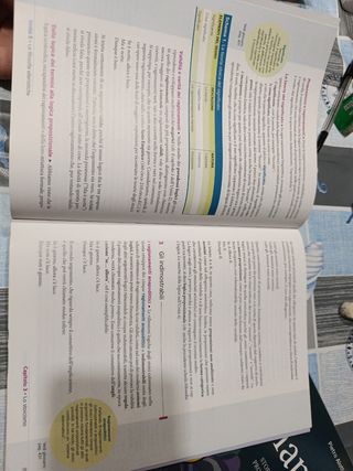 Sinapsi 1. Con Laboratorio di argomentazione.