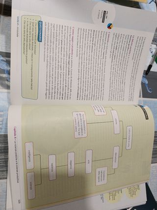 Sinapsi 1. Con Laboratorio di argomentazione.