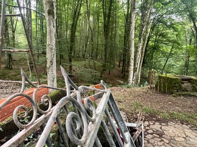 Verjas ventanas hierro forja antigua