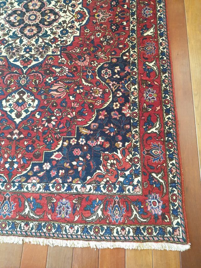 ALFOMBRA PERSA ANUDADA A MANO BAKHTIAR 315x205cm