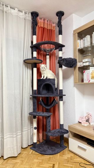 Rascador gato - 6 niveles