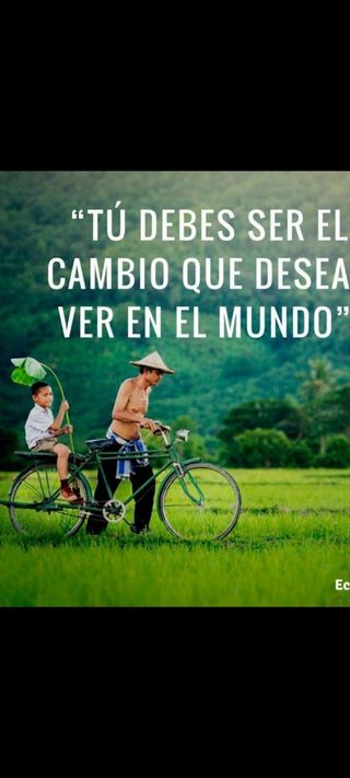 REMOLQUE CARRO PARA BICICLETAS 