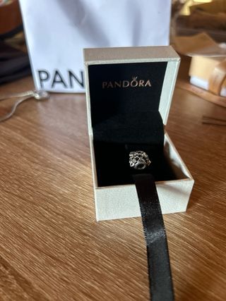 Charm per lucchetto a catena sforato Pandora 