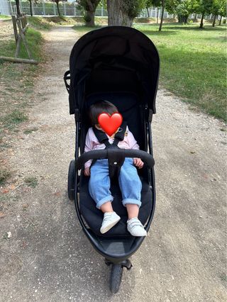 Hauck Rapid 3R - Silla Paseo