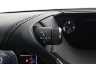 Lexus ES 300h Business