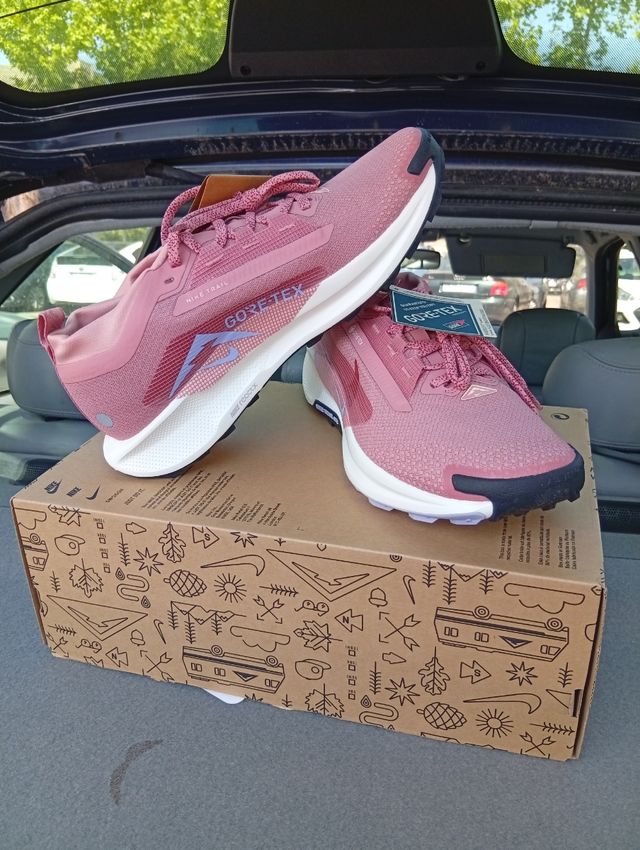 Nike Pegasus Trail 5 GTX Gore-Tex