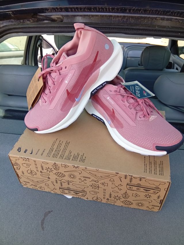 Nike Pegasus Trail 5 GTX Gore-Tex