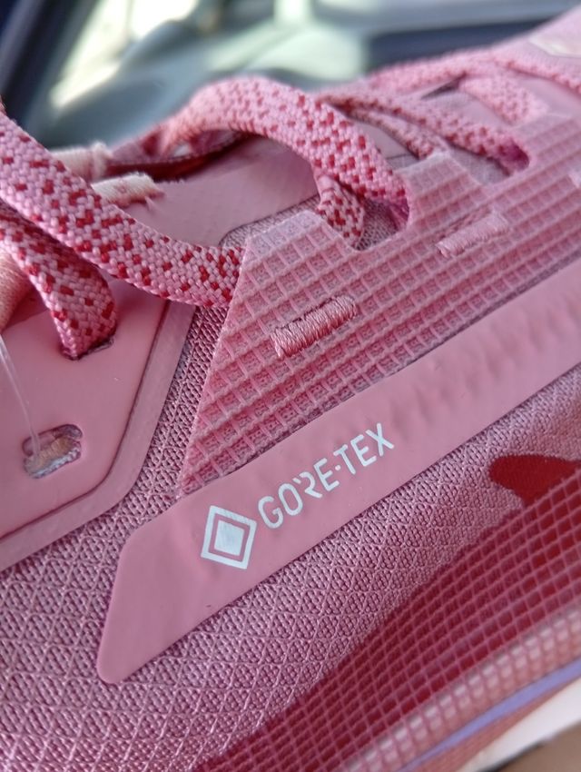 Nike Pegasus Trail 5 GTX Gore-Tex