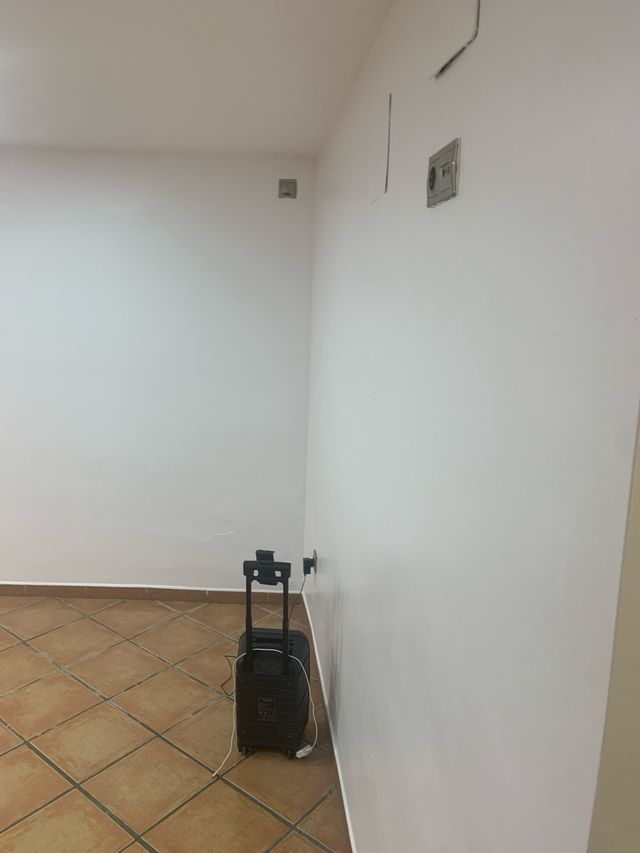 pintor con experiencia