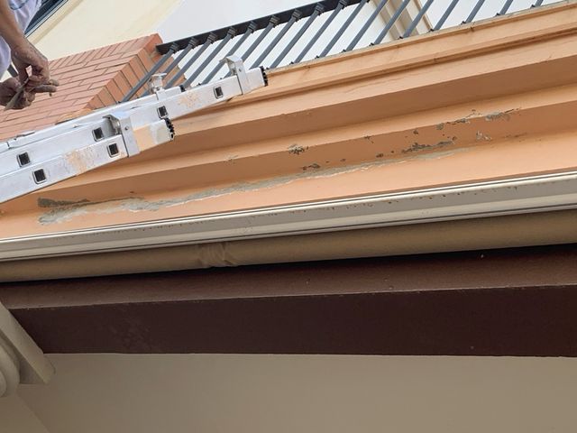 pintor con experiencia