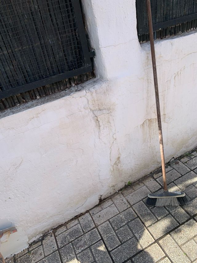 pintor con experiencia