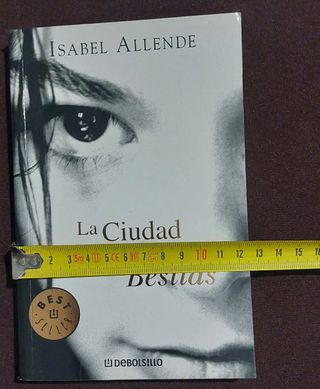 Libro "La ciudad de las Bestias".
