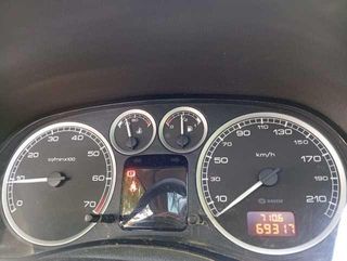 Peugeot 307 SW 1.6 80 kW (110 CV)