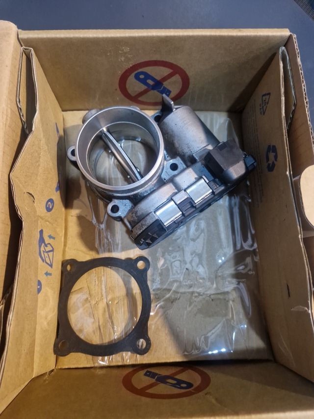 Mariposa Mercedes A1110980109