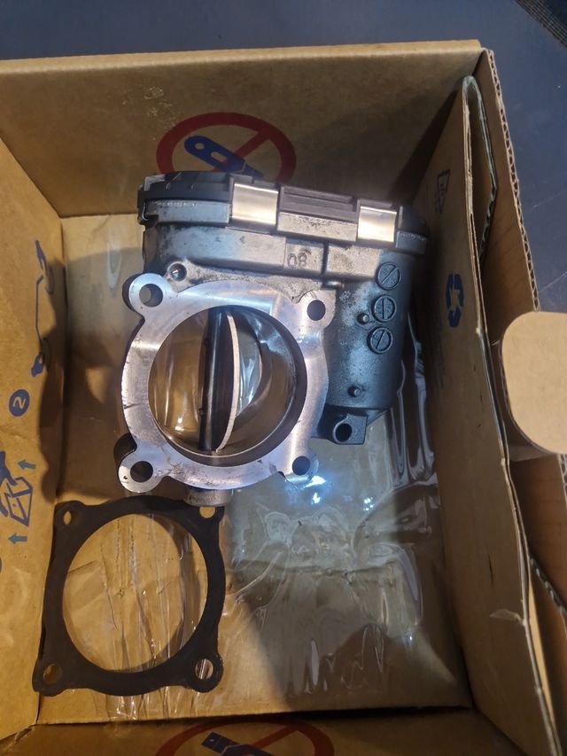 Mariposa Mercedes A1110980109