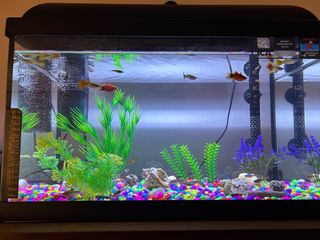 Acuario 40 L 