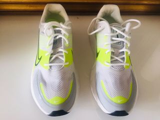 Zapatillas Nike Alphaina Summit 38
