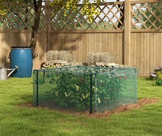 Jaula cultivo 125x125cm - Protector plantas