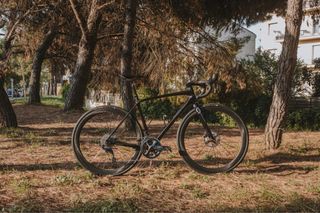 Scott Addict Contessa:Bicicleta y llantas Carbono
