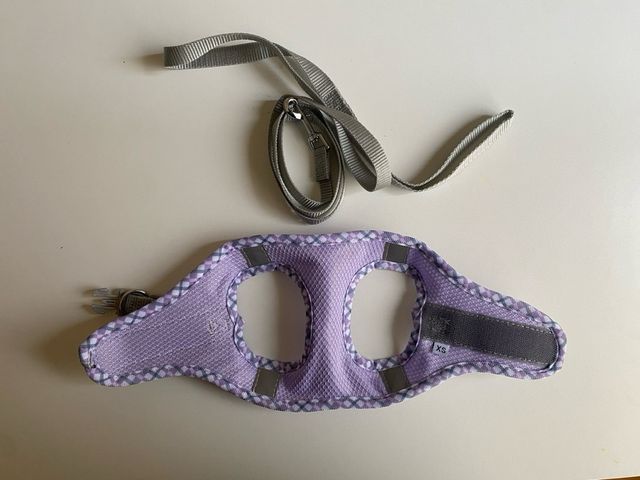 Arnés y correa XS para perro 