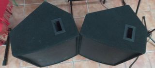 Monitores escenario pasivos - 2uds