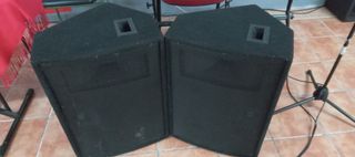 Monitores escenario pasivos - 2uds