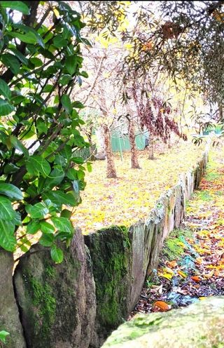 Terreno en venta en Mugardos