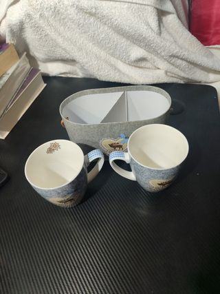 Juego de 2 tazas porcelana