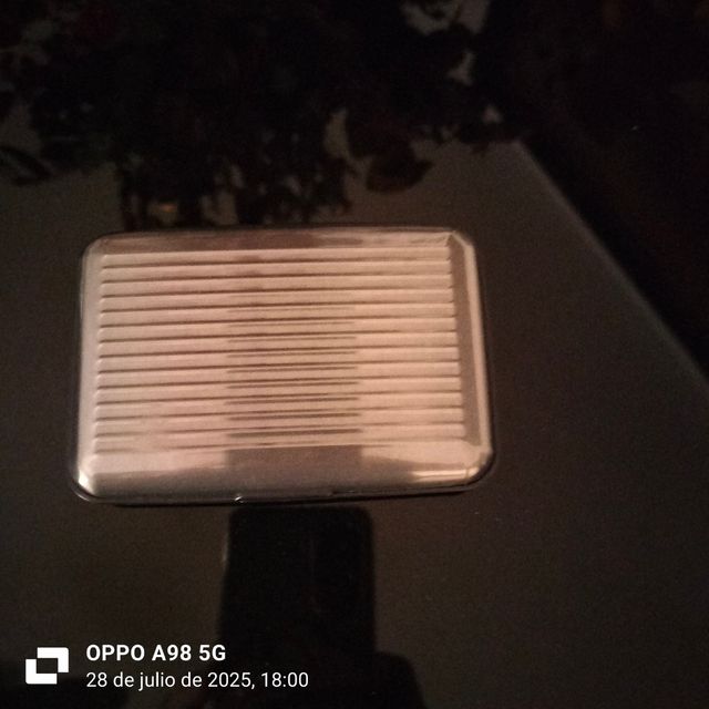 Billetera metálica gris - Hombre