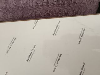 Cesto baño metal plateado