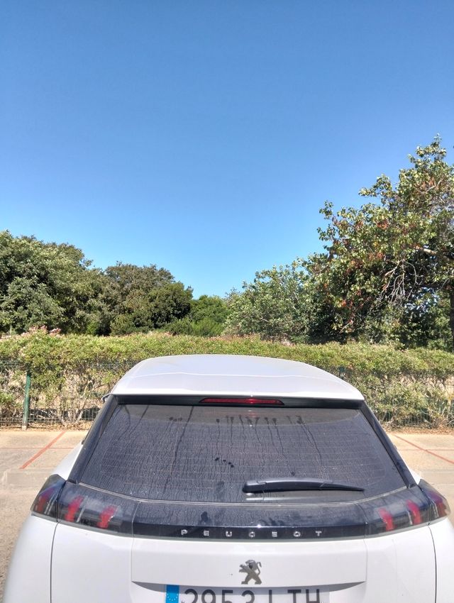 Peugeot 2008 active puretech 1 2021