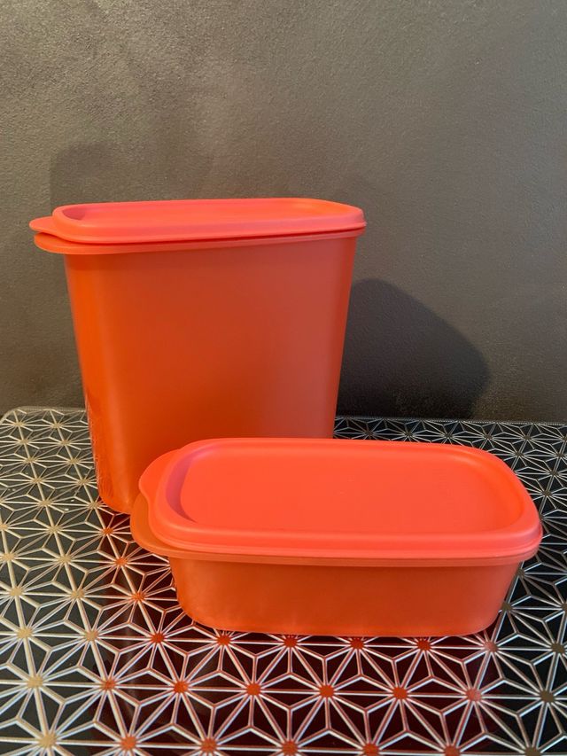 2 Contenitori Tupperware