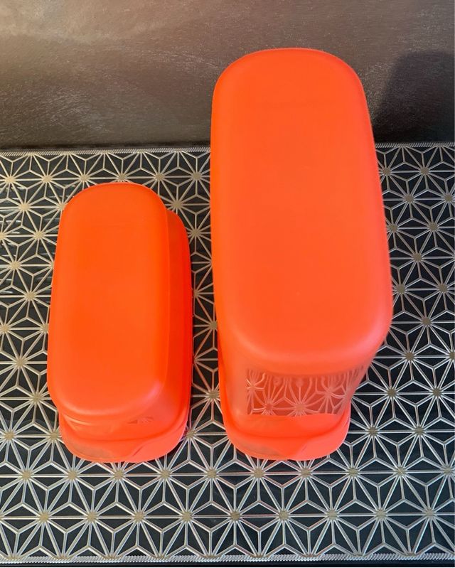 2 Contenitori Tupperware