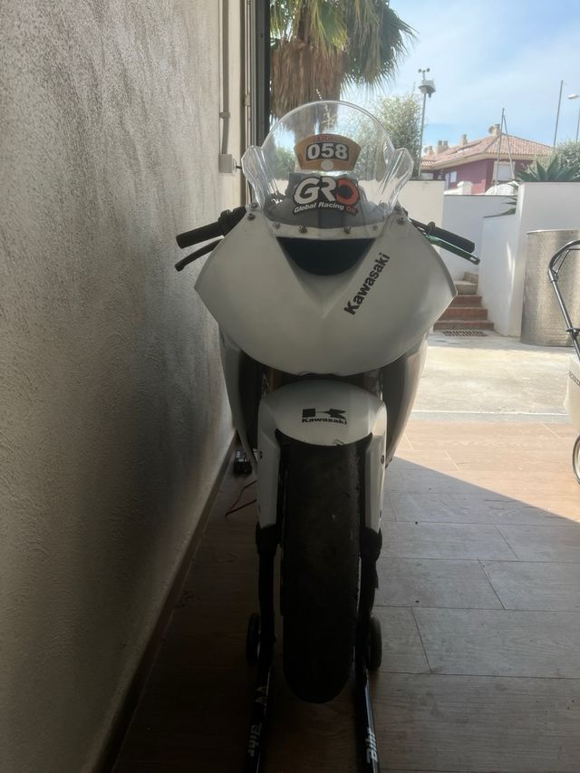 Kawasaki ZX-10R 2009 circuito