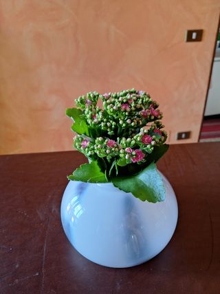 Vaso vetro bianco - Centrotavola
