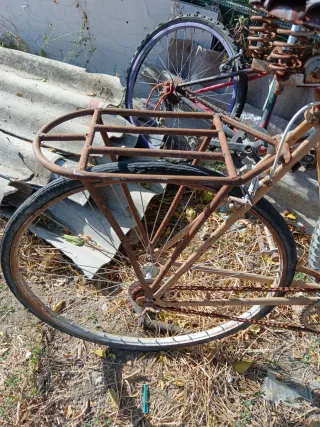 Bicicleta de paseo