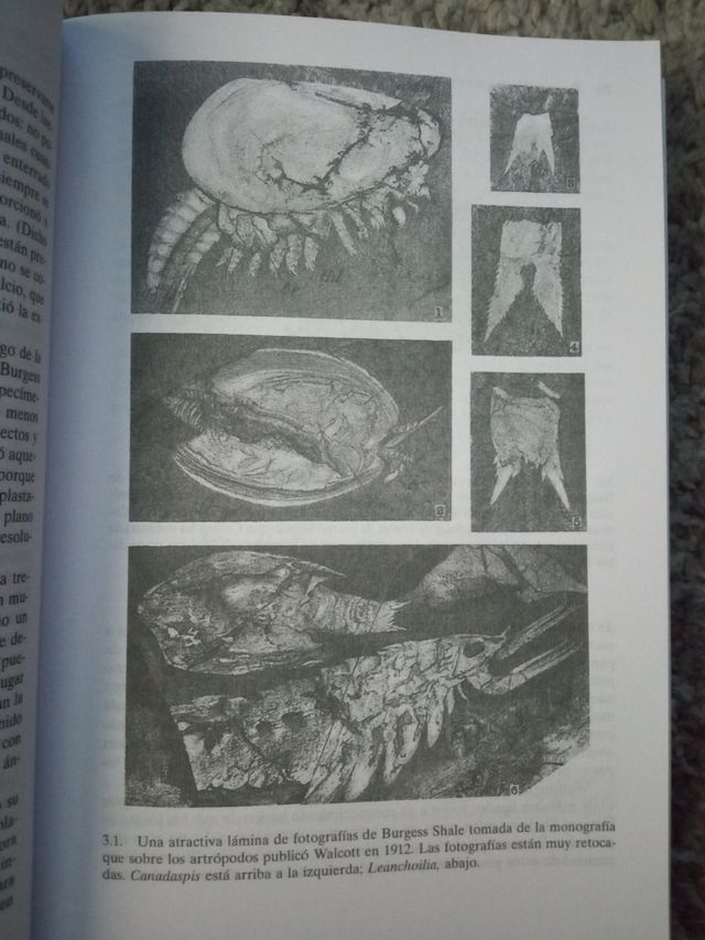 La vida maravillosa: Burgess Shale y la natural...