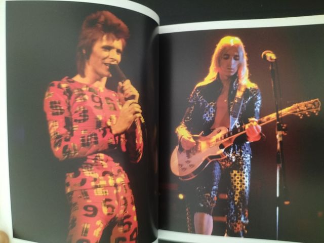 DAVID BOWIE  Vida y discografía 287 PG EXC