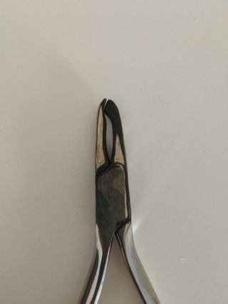 Pinzas para prótesis dental