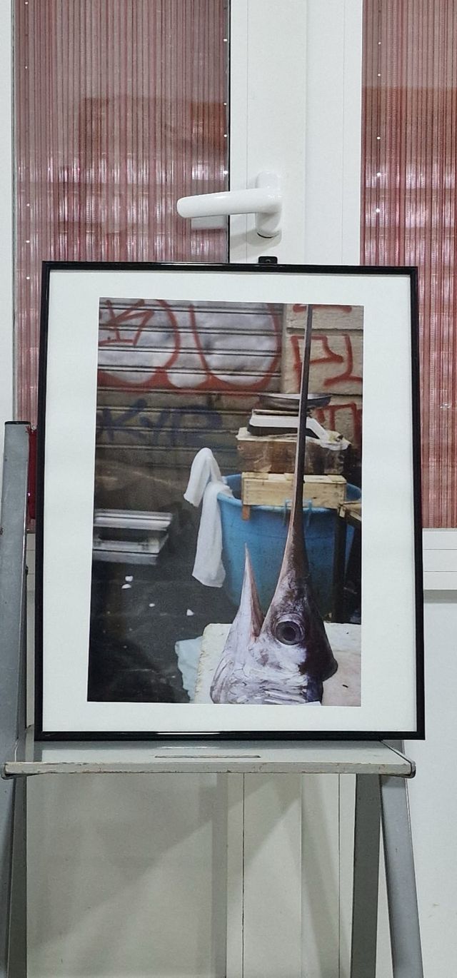 Foto incorniciata: Swordfish